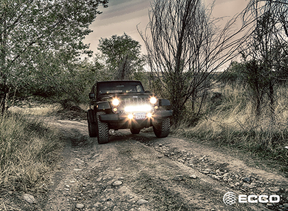 Ecco Page Image02