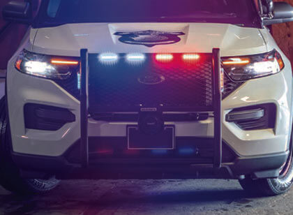 Go Rhino Page Image03