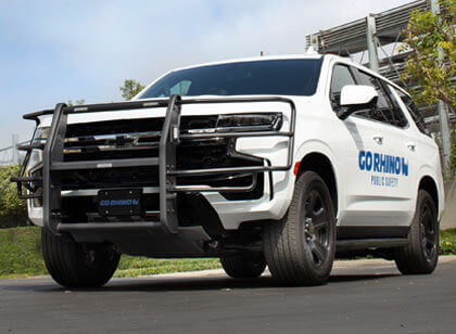 Go Rhino Page Image05