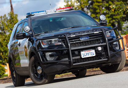 Go Rhino Page Image01